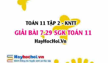 Bài 7.29 SGK Toán 11 Tập 2 Kết nối tri thức